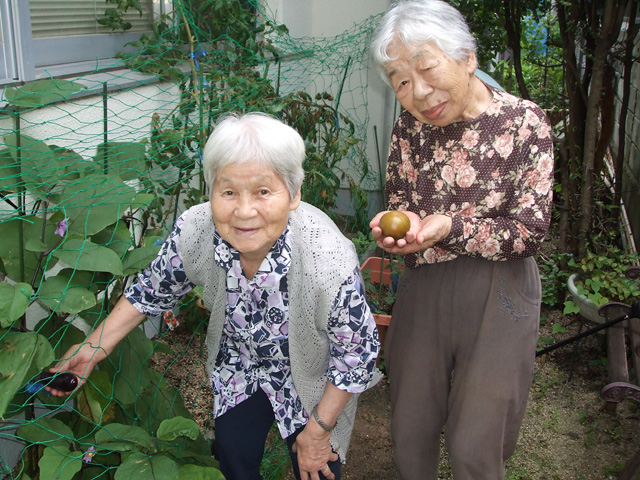 通所介護　園芸